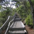 Rangitoto Island