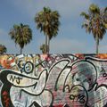 Venice Beach, 2007