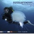 Concours Photo Sub à Los Gigantes