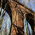 LE VIADUC DE LA TAVERNE, un bel ouvrage d'art, victime de guerre et laissé à la Nature... Visite du 8 mars 2021.