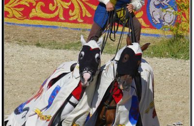 Cascadeurs du puy du fou