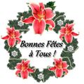 Bonnes Fêtes de fin d'année 2013 !