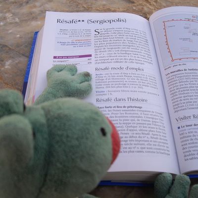 voudrez vous suivre le guide ? 