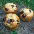 Muffins à la banane et pépites de chocolat