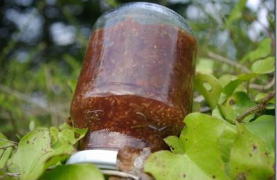 Confiture de figues aux noix, cannelle et romarin