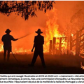 Incendies en Australie