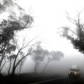 Incendies en Australie