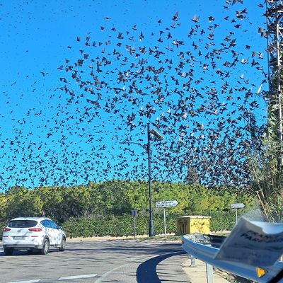 Portez-vous bien et à mi-décembre
