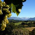 de Jurançon à Pau la vuelta en France