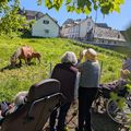 Un vendredi après midi 