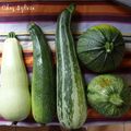 Les courgettes arrivent !