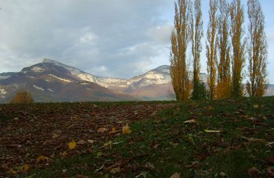 Automne 2010 à Chambéry (2ème partie) 