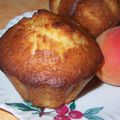 Muffins d'été aux abricots