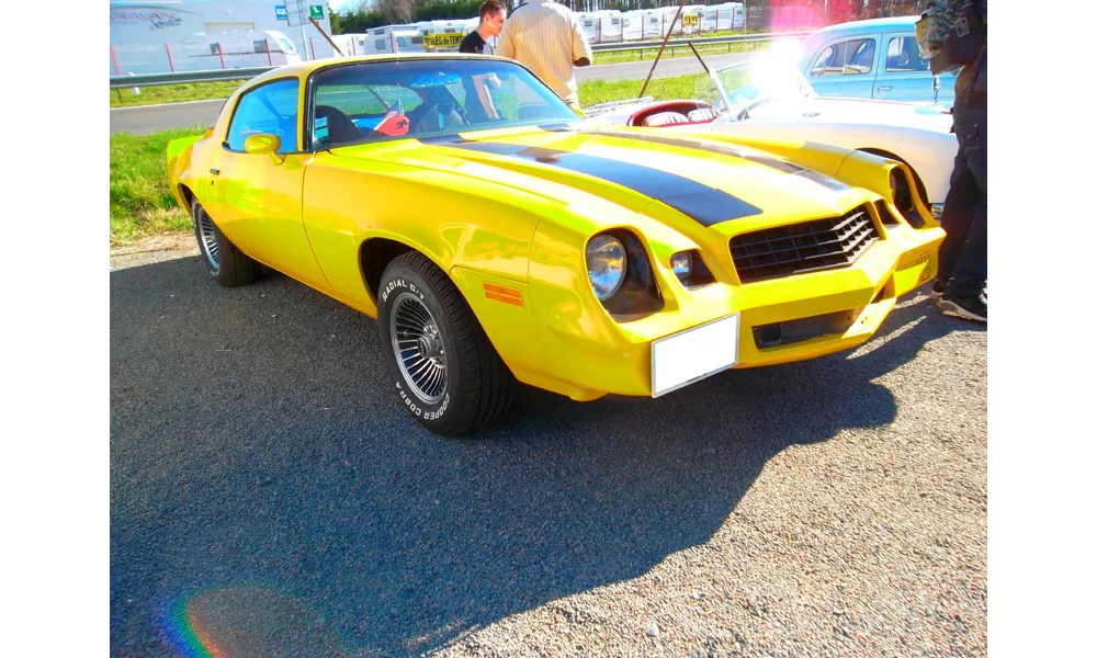 CHEVROLET CAMARO 1979 ...