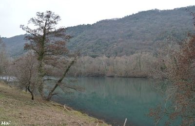 [Ardèche] rencontres animalières au bord des anciens bras du Rhône