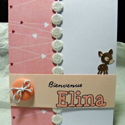 Bienvenue Elina!