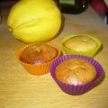 cupcakes au citron