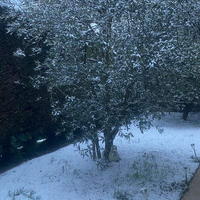 C'est çà l'hiver !