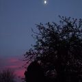 Une lune brillante, un ciel leu et quelques