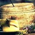 Le Cantal. Nom de forme. En 1298.