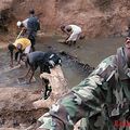 Les experts congolais et allemands en conférence-débat sur le coltan de sang ce mercredi, 02 juillet 2014 à Cologne