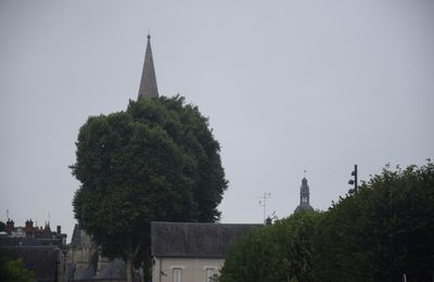 Randonnée vers la forêt de Vendôme le 23 juillet 2024 (1)