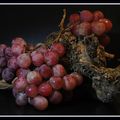 racine aux raisins - 16-10-21