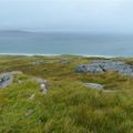 Ecosse - Découverte de l'île de Berneray