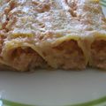 Cannelloni au jambon