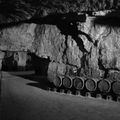 Une cave à Bourgueil 