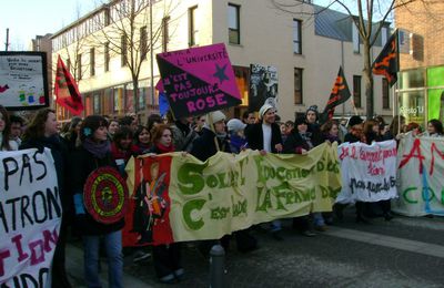 Manifestation du 29 janvier 2009, Amiens 