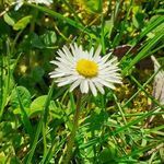 Créative Elise, à la recherche de soi par la CREATIVITE, LE DEVELOPPEMENT PERSONNEL ET LA SPIRITUALITE
