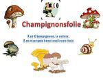 Les champignons et la nature dans tous ces états