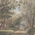 Clémentine d'Orléans (1817-1907), princesse Auguste de Saxe-Cobourg-Kohary. Une avenue du parc au château de Neuilly