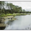 lac dans les landes