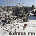 BONNES FETES !!!!!!!!!