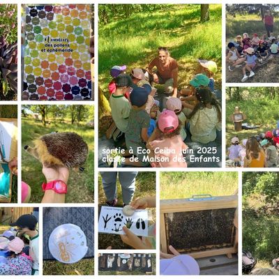 Sortie à Eco-ceiba pour les enfants de Maison des Enfants