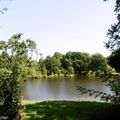 Une balade à l'Etang de SAINTE FOY (40)