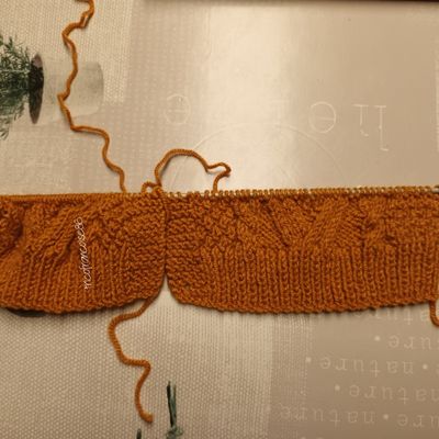 Mon en cours , gilet Kayden ...