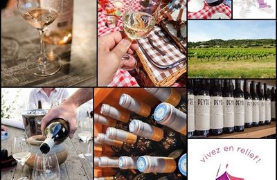 Découverte des vins de l'AOC Ventoux