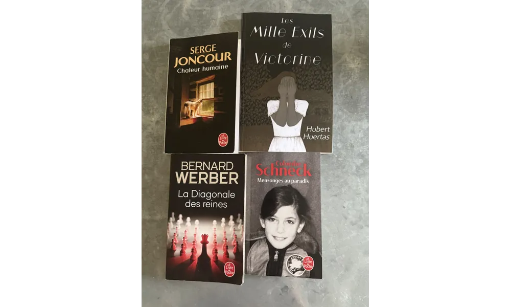 Livres 2025 (5)