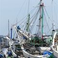 Voyage en Sulawesi - découverte du port de Makassar et de son bord de mer