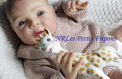 MAYVEN du Kit de Viviane Aleluia