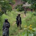 RDC: les FDLR toujours actifs malgré l'opération rwando-congolaise.. FDLR, L'ARBRE QUI CACHE LA FORET (PLAN MACHIAVELIQUE TUTSI)