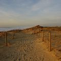 Chemin de dune