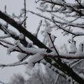 { Ce matin } (Quelques flocons sont venus