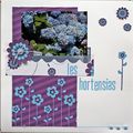 des hortensias pour la DT pimenta