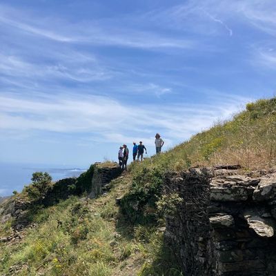 Video François PETIT reflet des ondes