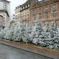 Au pays de Noël en Alsace