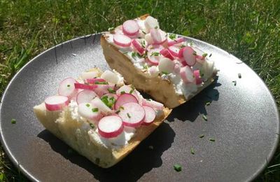 TARTINE CHEVRE FRAIS & RADIS